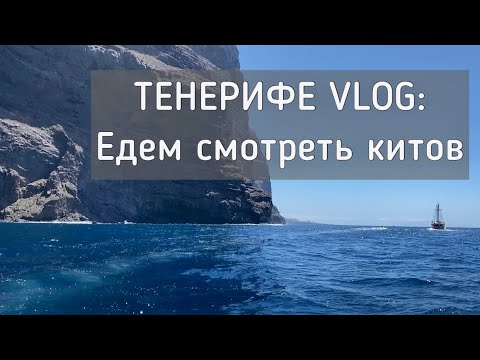 Видео: ТЕНЕРИФЕ VLOG: едем смотреть китов!