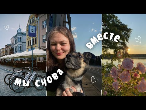 Видео: Vlog 17 / Моя новая (старая) рутина 🤍