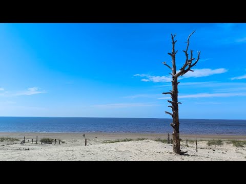 Видео: Северодвинск. Ягры. Белое море. 7-11 июля 2025