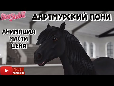 Видео: Дартмурский пони в STAR STABLE | Анимация | Масти | Цена | Игра про лошадей