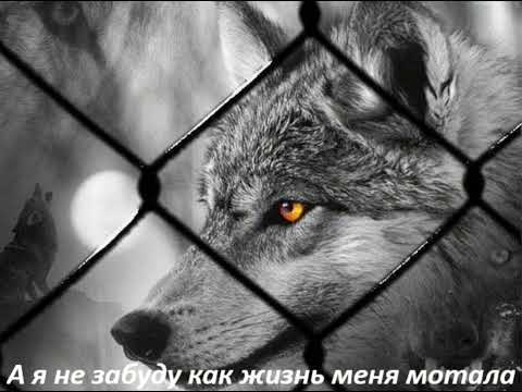 Видео: #музыка #я не забуду как жизнь меня мотала