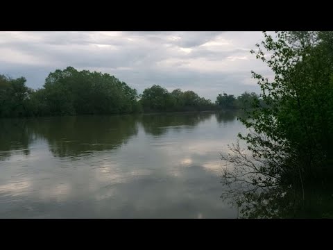 Видео: я был в шоке с этой рыбалки
