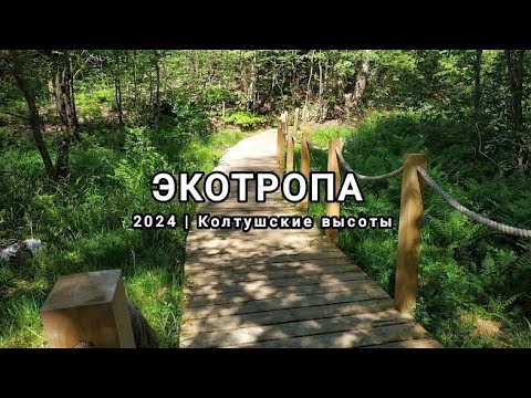 Видео: Экотропа "Колтушские высоты" | Воейково - Южный пешком 9 мая 2024