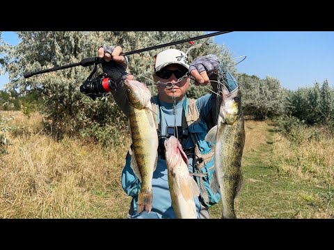 Видео: Робочі проводки на судака. Риболовля на джиг з берега.