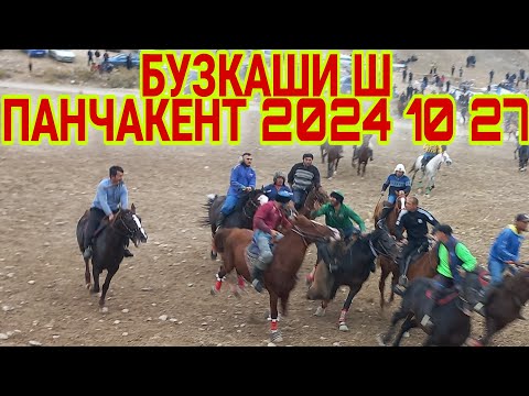 Видео: бузкаши  ш панчакент 2024 28