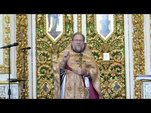 Видео: Проклятая смоковница. Это вообще о чем?..