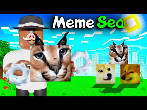 Видео: 😱 МЕМНЫЕ ДЬЯВОЛЬСКИЕ ФРУКТЫ в РОБЛОКС! | Meme Sea