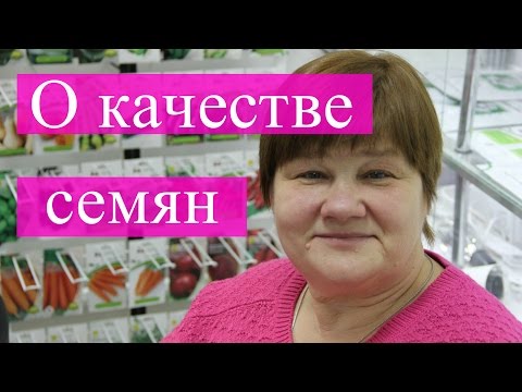 Видео: О качестве семян. Беседа с руководителем агрофирмы.