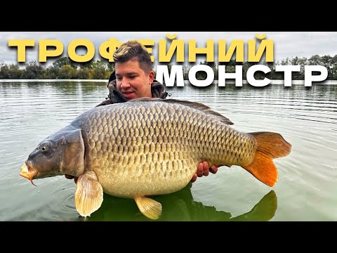 Видео: Ловля ТРОФЕЙНОГО МОНСТРА‼️ Осіння рибалка на коропа