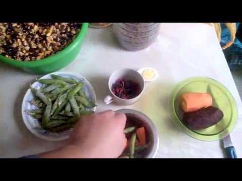 Видео: утреннее кормление попугаев