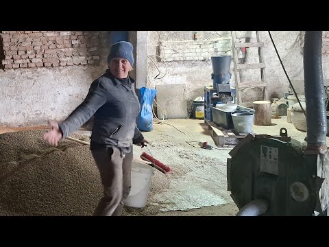 Видео: Жіночка Гранулює по Дві-три тони в день‼️Цей Комбікорм най кращий для бройлера❓️ГКМ 260 в роботі