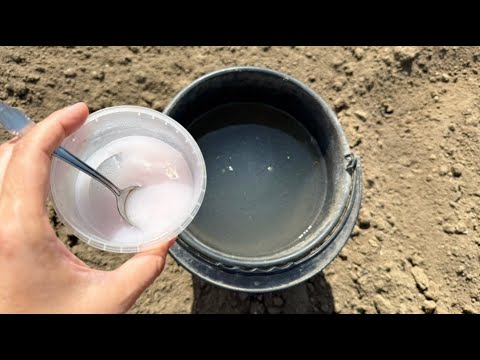Видео: Сорняки исчезнут за 1 минуту и навсегда! Единственный безопасный способ