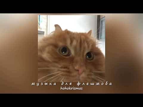 Видео: ♡музыка для флешмоба♡/песни из тик тока/♡