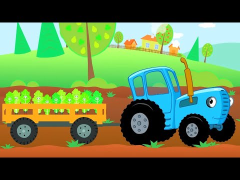 Видео: Овощи 🥕 Изучаем овощи – Сборник – Синий Трактор – Песенки для малышей