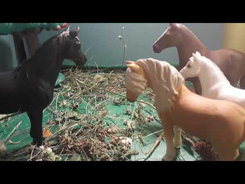 Видео: Преданные лошади(1 серия 1 сезон)😚