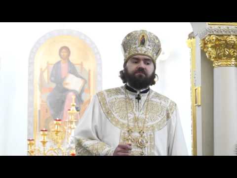 Видео: Кто воюет против правды Божией