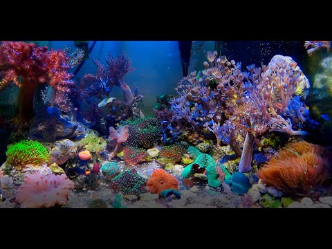 Видео: А если белый грунт?Контрастней, ярче,красивее будет?