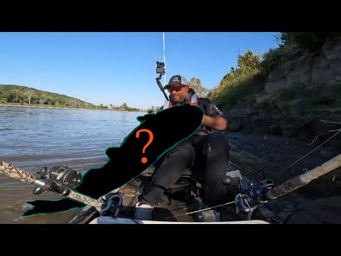 Видео: «Я что, только что выпустил рекордного сома?» (НЕРЕАЛЬНЫЕ КАДРЫ)