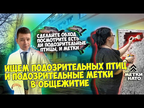 Видео: Проверяем общежитие на наличие меток и подозрительных птиц