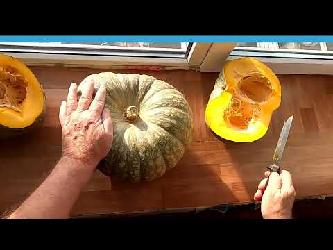 Видео: Тыквы при хранении начали портиться изнутри
