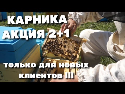 Видео: КАРНИКА АКЦИЯ НА КАНАЛЕ 2+1