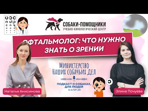 Видео: Офтальмолог: что важно знать о зрении