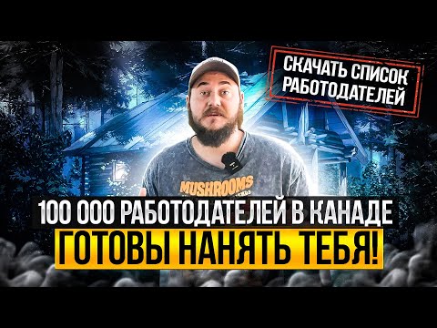 Видео: 100 000 РАБОТОДАТЕЛЕЙ ИЗ КАНАДЫ ГОТОВЫ ВЗЯТЬ ВАС НА РАБОТУ