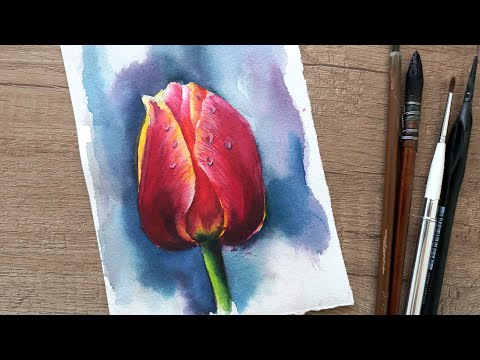 Видео: Бесплатный мастер-класс по акварельной живописи. Как нарисовать тюльпан.