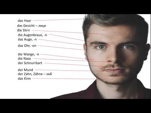 Видео: Частите на тялото и изразяване на болка на немски език - Начинаещи/ A1/ A2