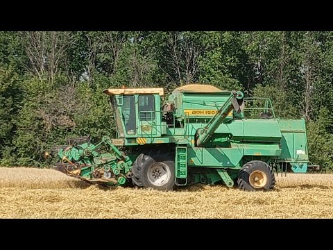 Видео: Завершаем уборочную зерновых я на дону супруга на зилу , потёк цилиндр на ветрах