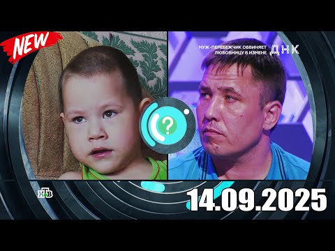 Видео: ДНК . Выпуск от 14.09.2025 - «Муж перебежчик обвиняет любовницу в измене»- Передачи НТВ - ДНК 2025