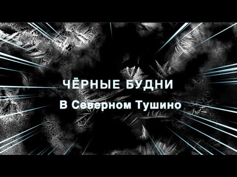 Видео: Zoom Meeting Администратор
