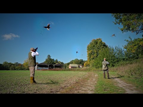 Видео: ГРУБАЯ охота на фазанов в поместье | Фазаны, которых удалось поймать | Ник Ридли и Лэнс Бартон | ...