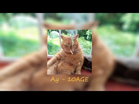 Видео: Рандомный плейлист для хорошего настроения #3 💜