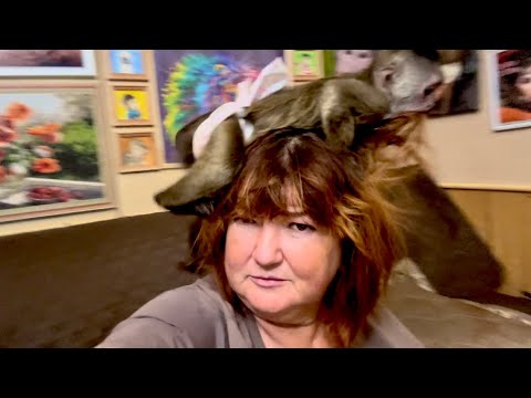 Видео: Финик ОБИДЕЛСЯ на папу Влада и окружил внимание меня, прическа получилась отпадная)))
