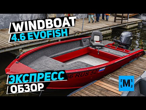 Видео: НОВЫЙ WINDBOAT 4.6 EVOFISH С РУМПЕЛЕМ | ЭКСПРЕСС ОБЗОР