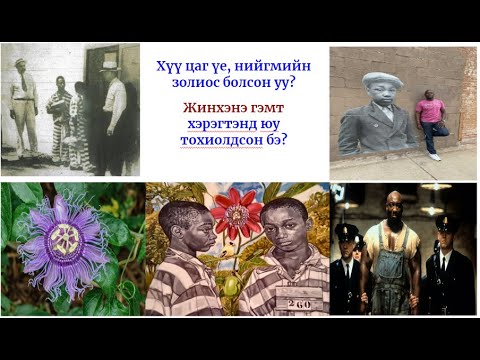 Видео: Ногоон бүс киноны бодит түүх