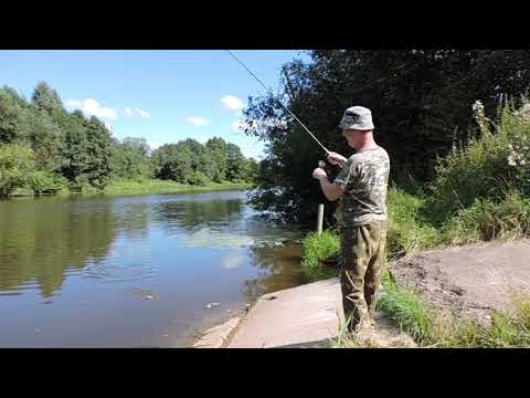 Видео: Сестра Карманово 20 8 2020