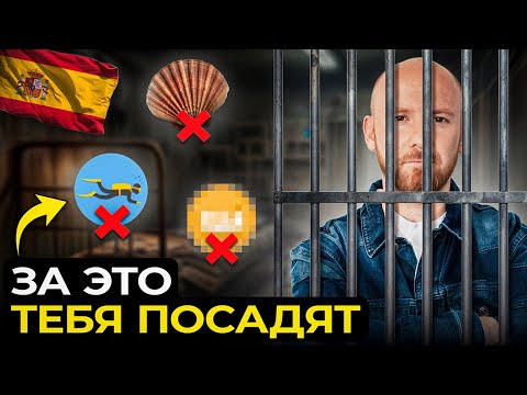 Видео: Ты сядешь в тюрьму в Испании, если не посмотришь это видео...