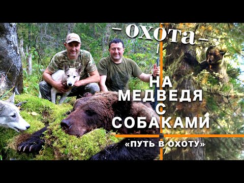 Видео: НА МЕДВЕДЯ