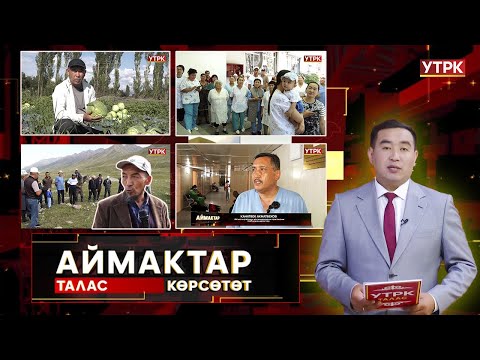 Видео: Талас көрсөтөт // АЙМАКТАР // 28.07.2025