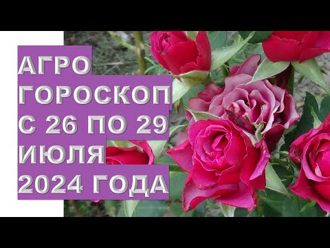 Видео: Агрогороскоп с 26 по 29 июля 2024 года. Agrohoroscope from July 26 to July 29, 2024