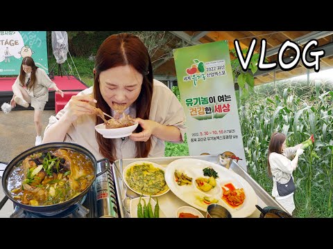 Видео: Я был на Фестивале сладкой кукурузы Университета Гоэсана🌽 (ft. Healthy Duck Soup)ㅣHamzy Vlog