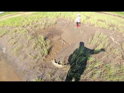 Видео: Жор хищника, супер рыбалка.