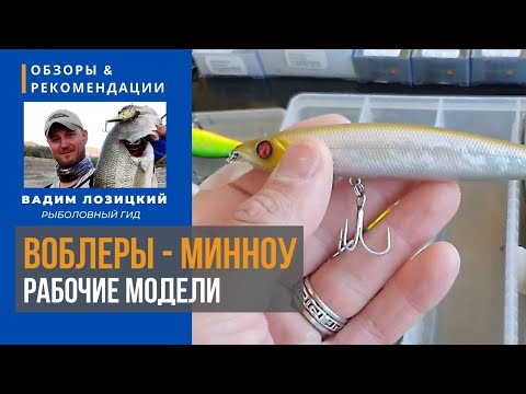 Видео: 💯 Воблеры минноу. Рабочие модели. 🇨🇾 Кипр. Рыболовные советы и рекомендации