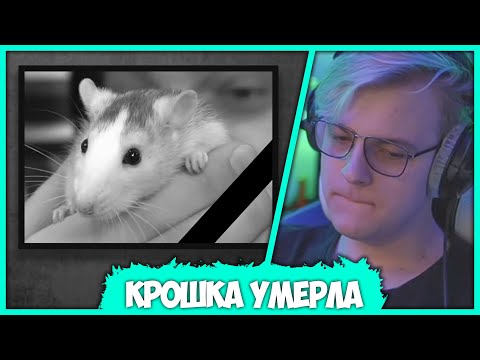 Видео: У Пятёрки умерла Крыса - Самый Печальный день в жизни Кирилла