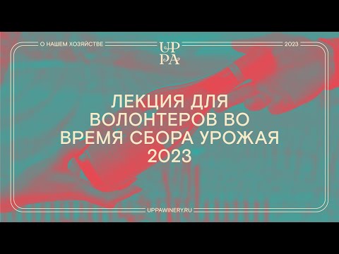 Видео: Лекция для волонтеров во время сбора урожая 2023