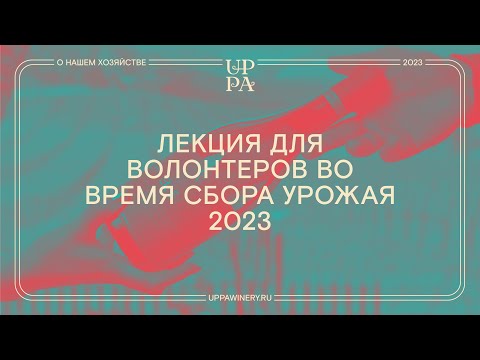 Видео: Лекция для волонтеров во время сбора урожая 2023