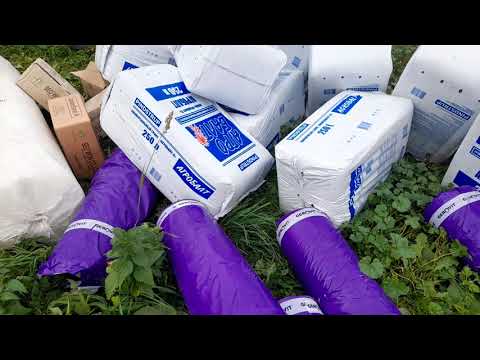 Видео: Новая поставка. Голден Спрей. Мульча. Агроспан.