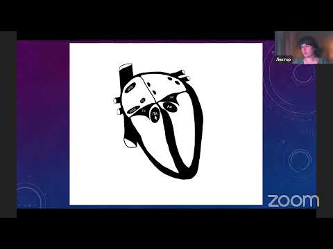 Видео: Основы электрокардиографии